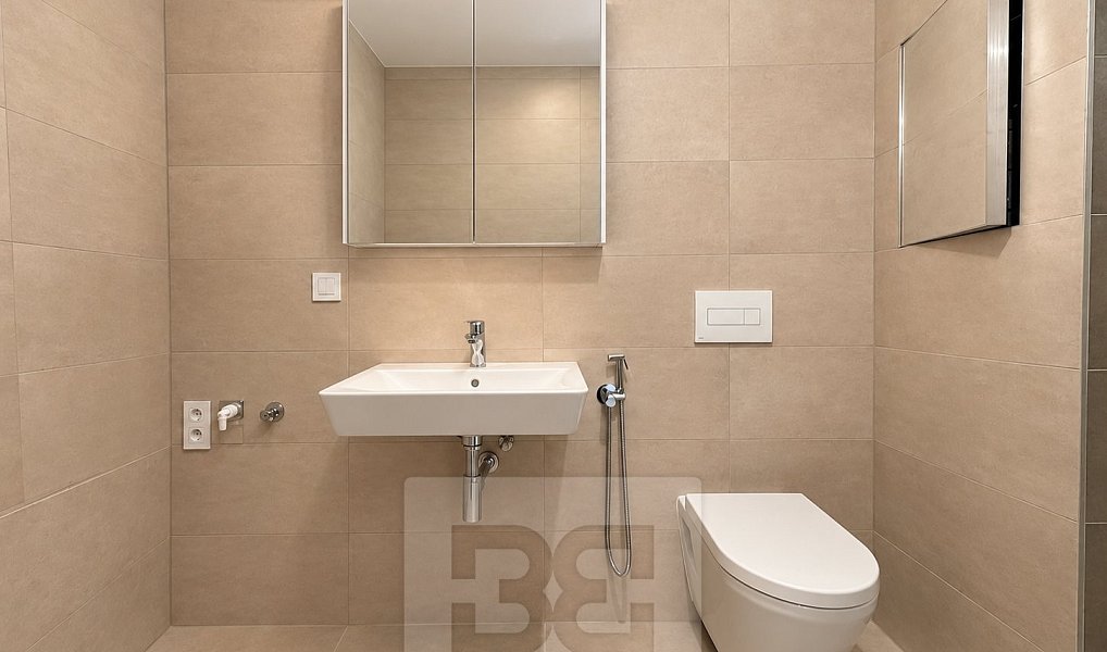 Pronájem bytu 1+kk 35 m², Brno – náhled fotky 12