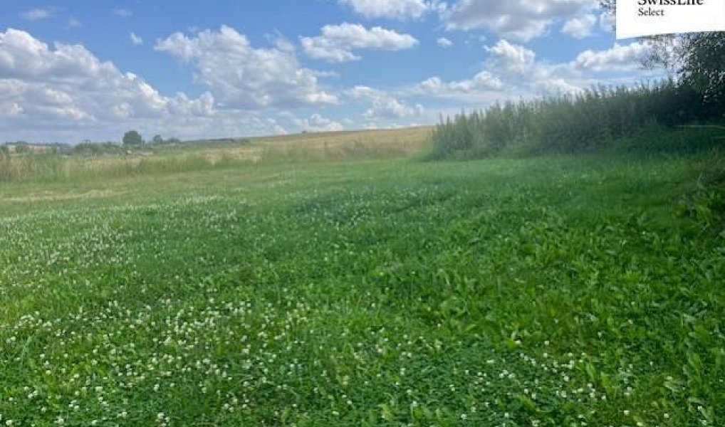 Prodej louky 360 m², Hodice – náhled fotky 8