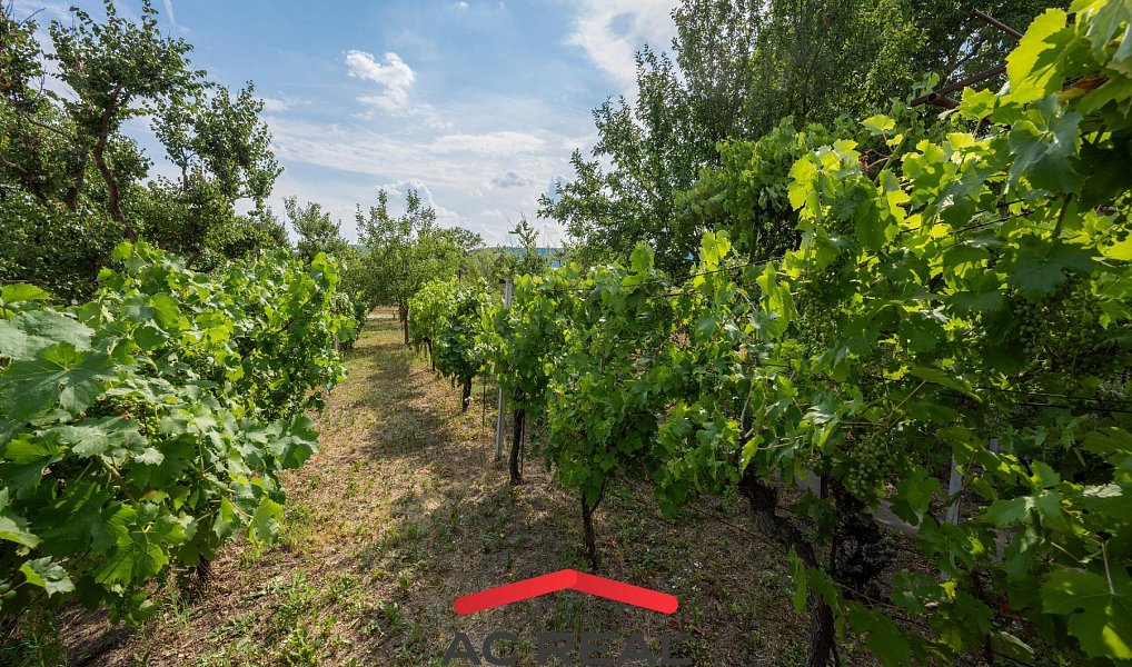 Prodej domu 153 m² s pozemkem 1 300 m², Brno – náhled fotky 2