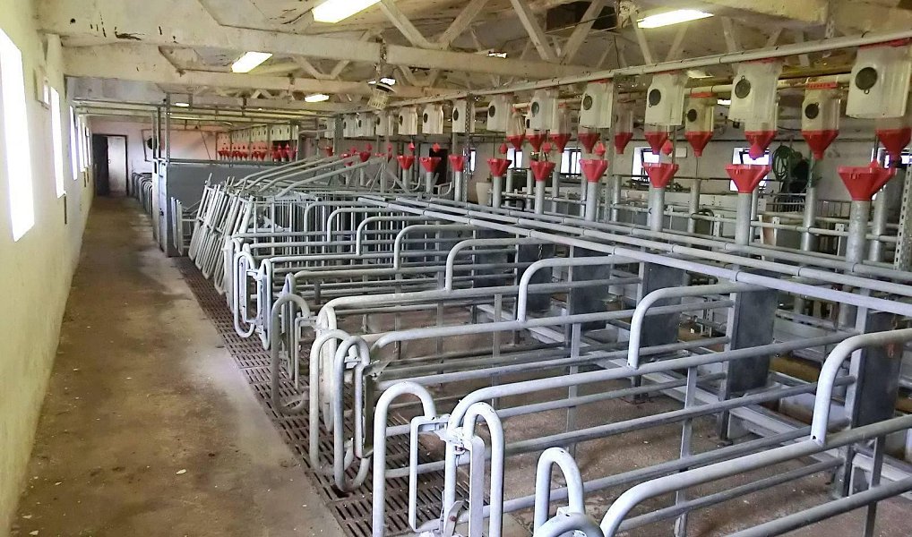 Prodej zemědělského objektu 2 000 m², Majdalena – náhled fotky 19