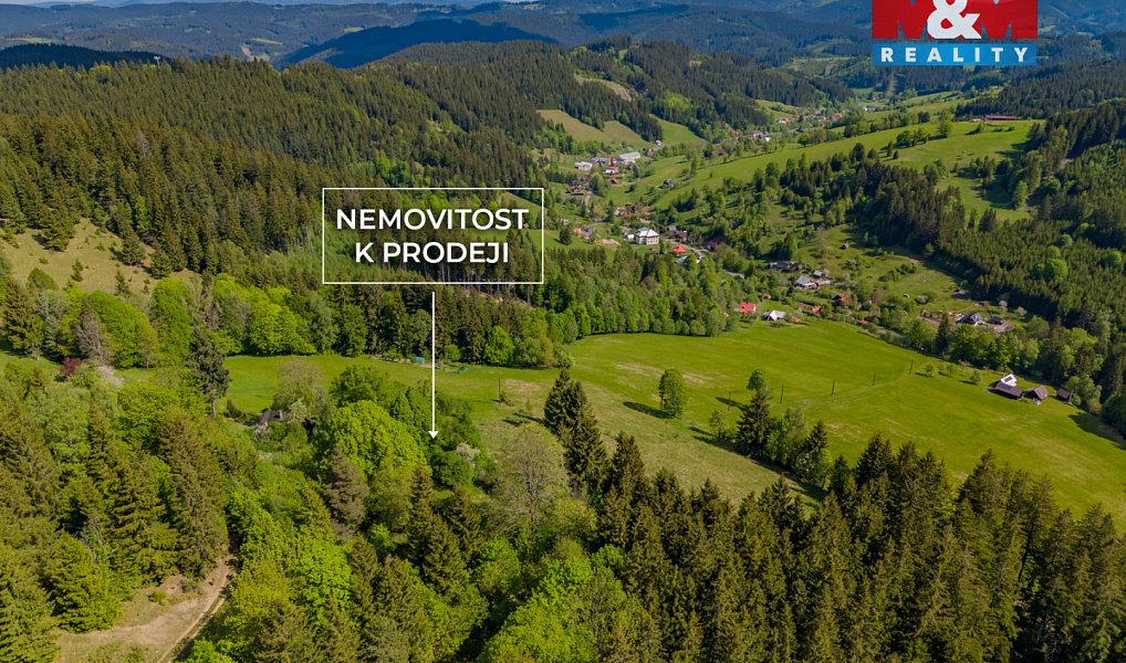 Prodej chaty/chalupy 60 m² s pozemkem 55 081 m², Velké Karlovice – náhled fotky 5