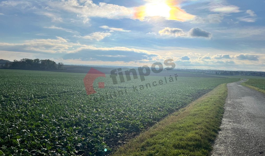 Prodej pozemku 6 499 m², Přezletice – náhled fotky 7