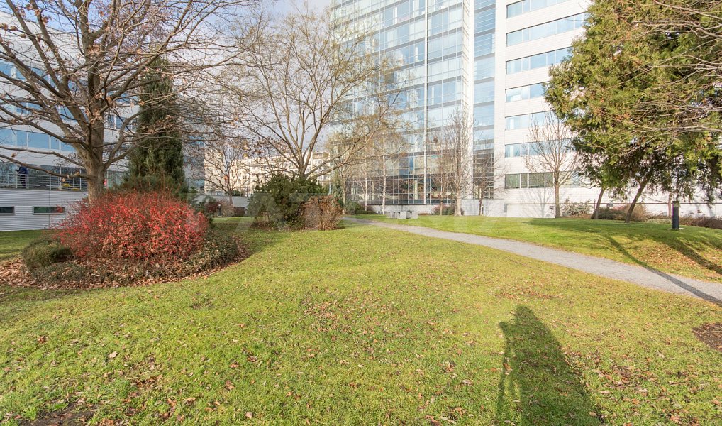 Pronájem obchodních prostor 291 m², Praha – náhled fotky 13