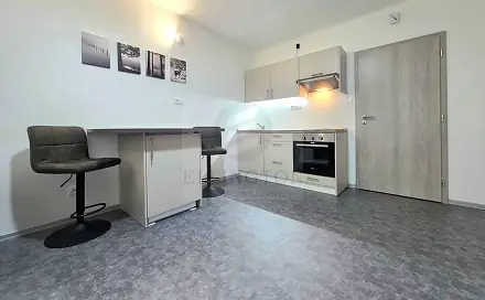 Pronájem bytu 1+kk 29 m², Ostrov - Horní Žďár, okres Karlovy Vary