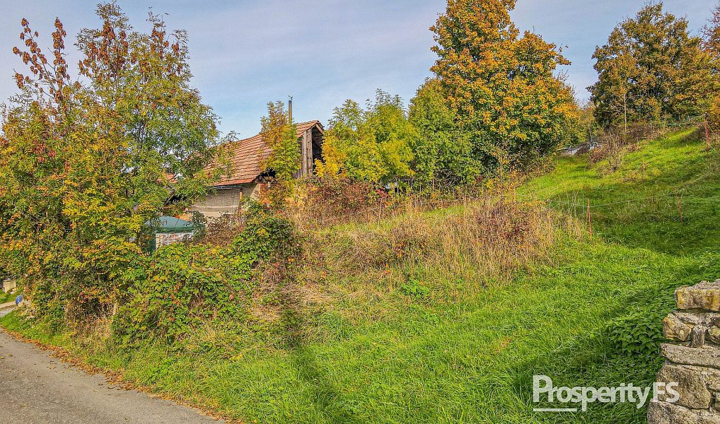 Prodej stavebního pozemku 10 000 m², Jankovice – náhled fotky 5