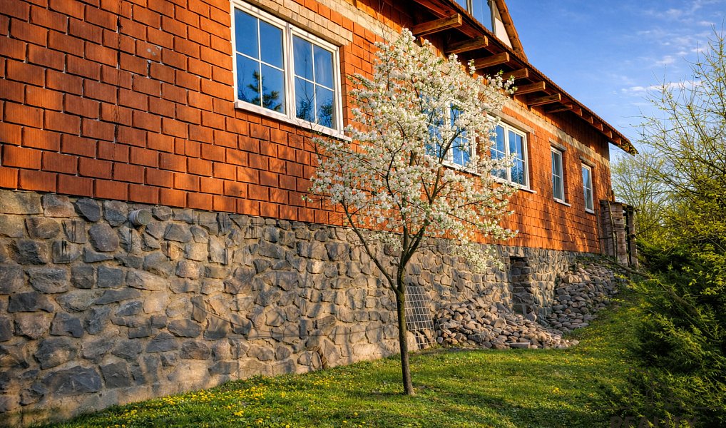 Prodej domu 270 m² s pozemkem 420 m², Cetkovice – náhled fotky 3