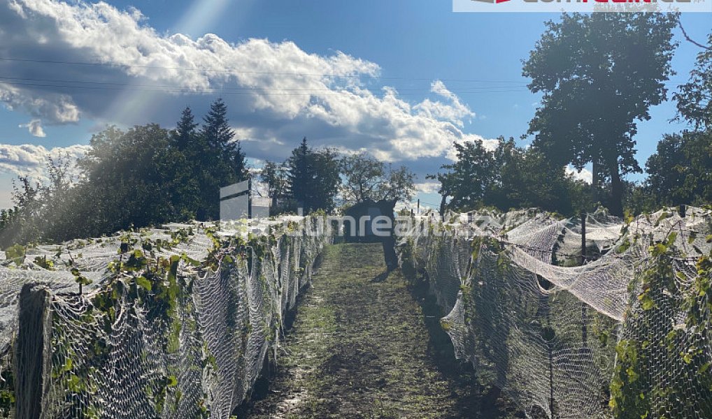 Pronájem chaty/chalupy 29 m², Tvrdonice – náhled fotky 8