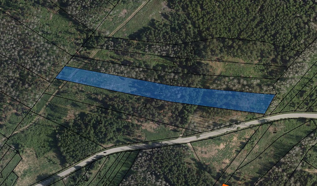 Prodej lesa 9 117 m², Krasonice – fotka 1 z 7