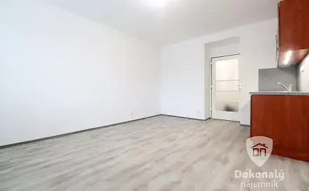 Pronájem bytu 1+kk 27 m²