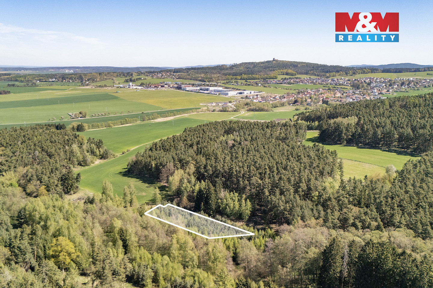 Prodej lesa 2 645 m² – pohled 6