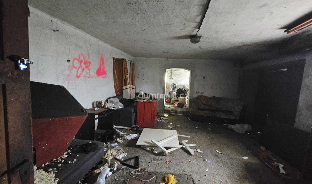 Prodej domu 300 m² s pozemkem 2 382 m², Dolní Beřkovice – náhled fotky 14