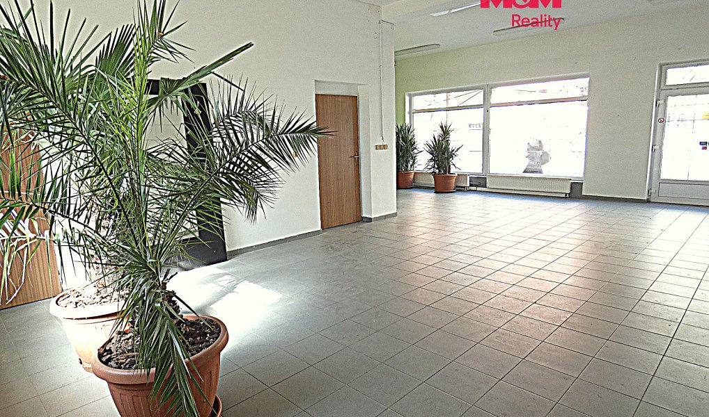 Pronájem komerčního prostoru, 66 m², Mariánské Hory, Ostrava-město, Ostrava