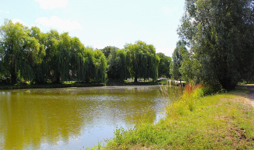 Prodej domu 83 m² s pozemkem 545 m², Koryčany – náhled fotky 12
