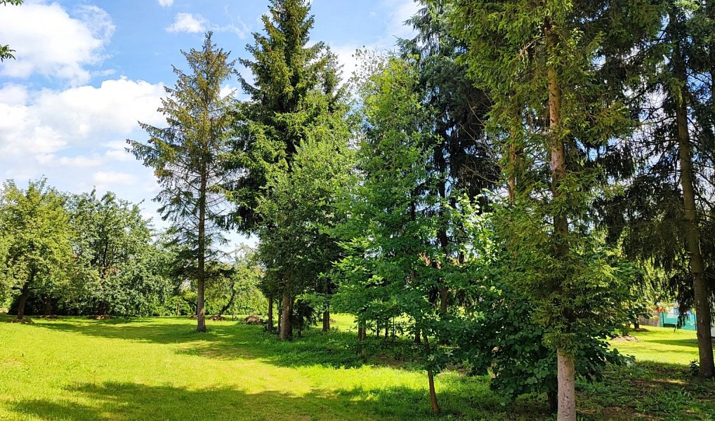 Prodej stavebního pozemku 2 613 m², Kelč – náhled fotky 3