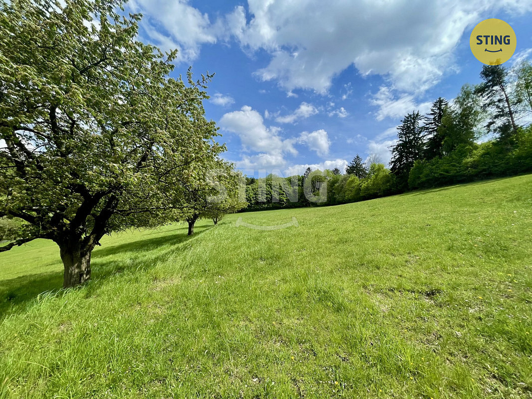 Prodej lesa 16 440 m² – pohled 5