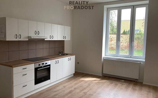 Pronájem bytu 2+kk 53 m², Erbenova, Ostrava - Vítkovice