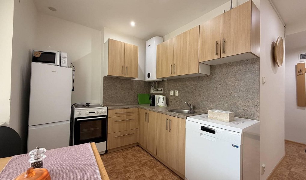 Pronájem bytu 1+1 35 m², Chomutov – náhled fotky 8