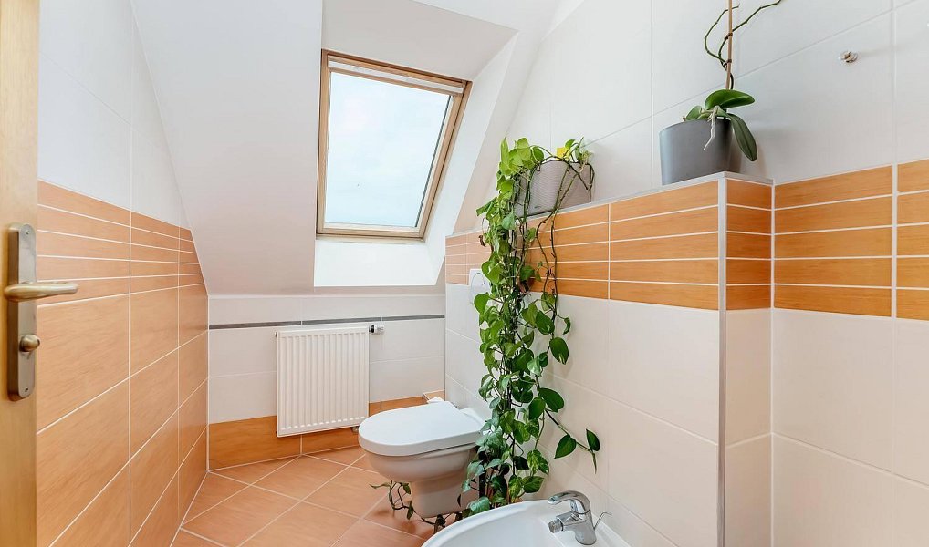 Prodej domu 169 m² s pozemkem 711 m², Kanice – náhled fotky 19