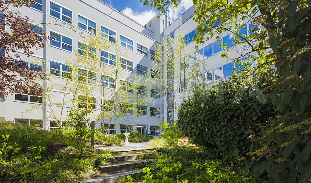 Pronájem kanceláře 405 m², Praha – náhled fotky 16