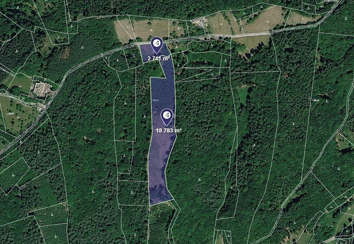 Prodej lesa 21 494 m²