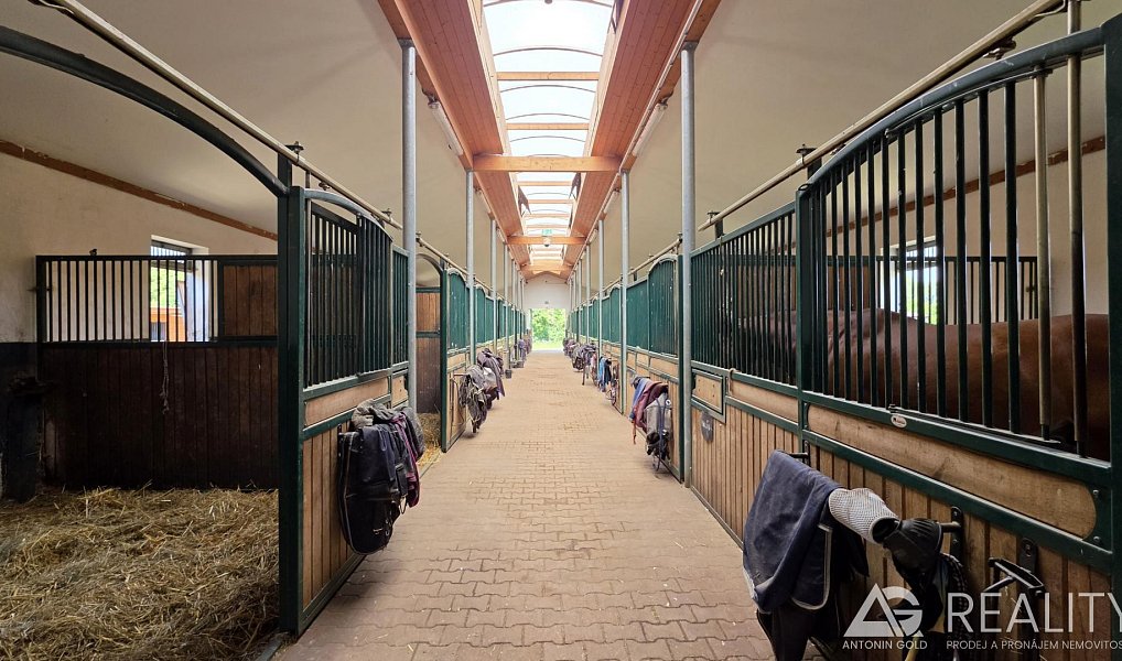 Prodej zemědělského objektu 5 128 m², Úžice – náhled fotky 3