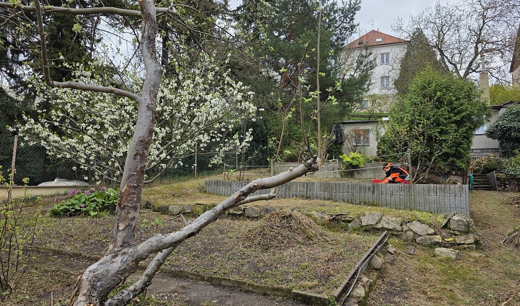 Prodej stavebního pozemku 713 m², Praha – náhled fotky 10