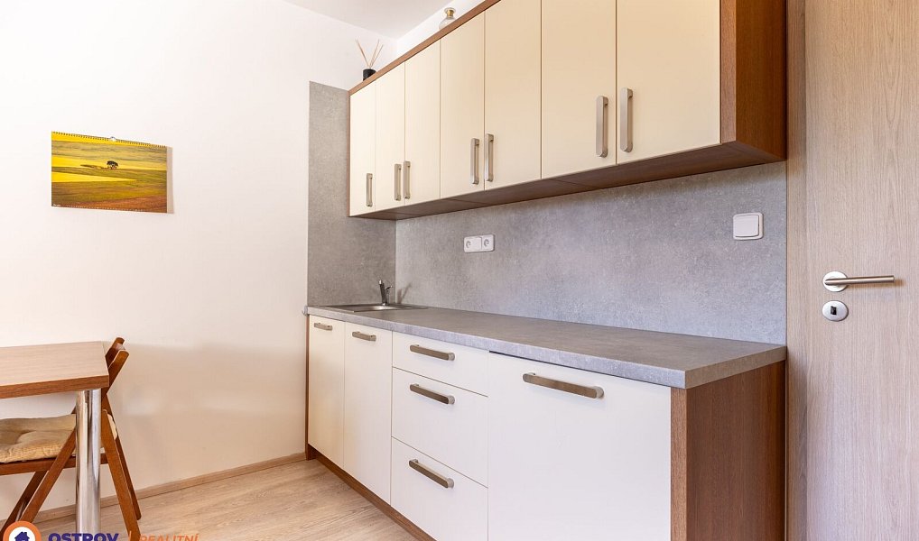 Pronájem bytu 1+kk 21 m², Loučná nad Desnou – náhled fotky 7