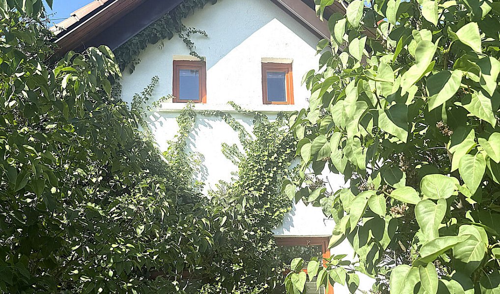 Prodej domu 120 m² s pozemkem 2 546 m², Radošovice – náhled fotky 4