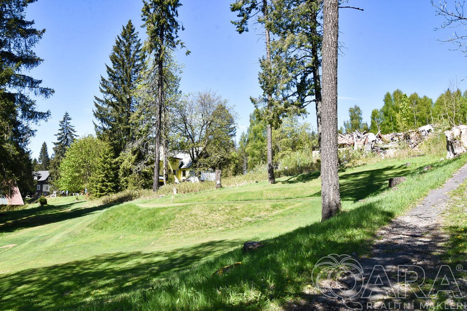 Prodej stavebního pozemku 17 770 m² – fotografie 5