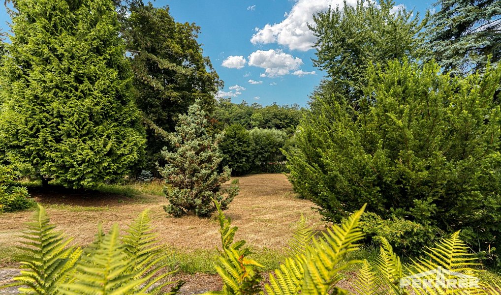 Prodej ubytovacího objektu 1 400 m², Samopše – náhled fotky 31