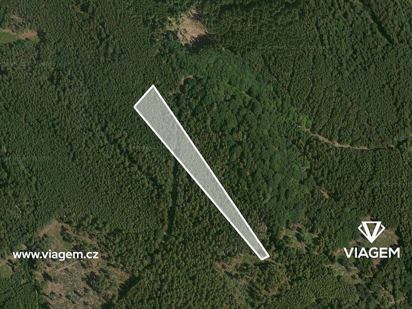 Prodej lesa 4 087 m² – pohled 2