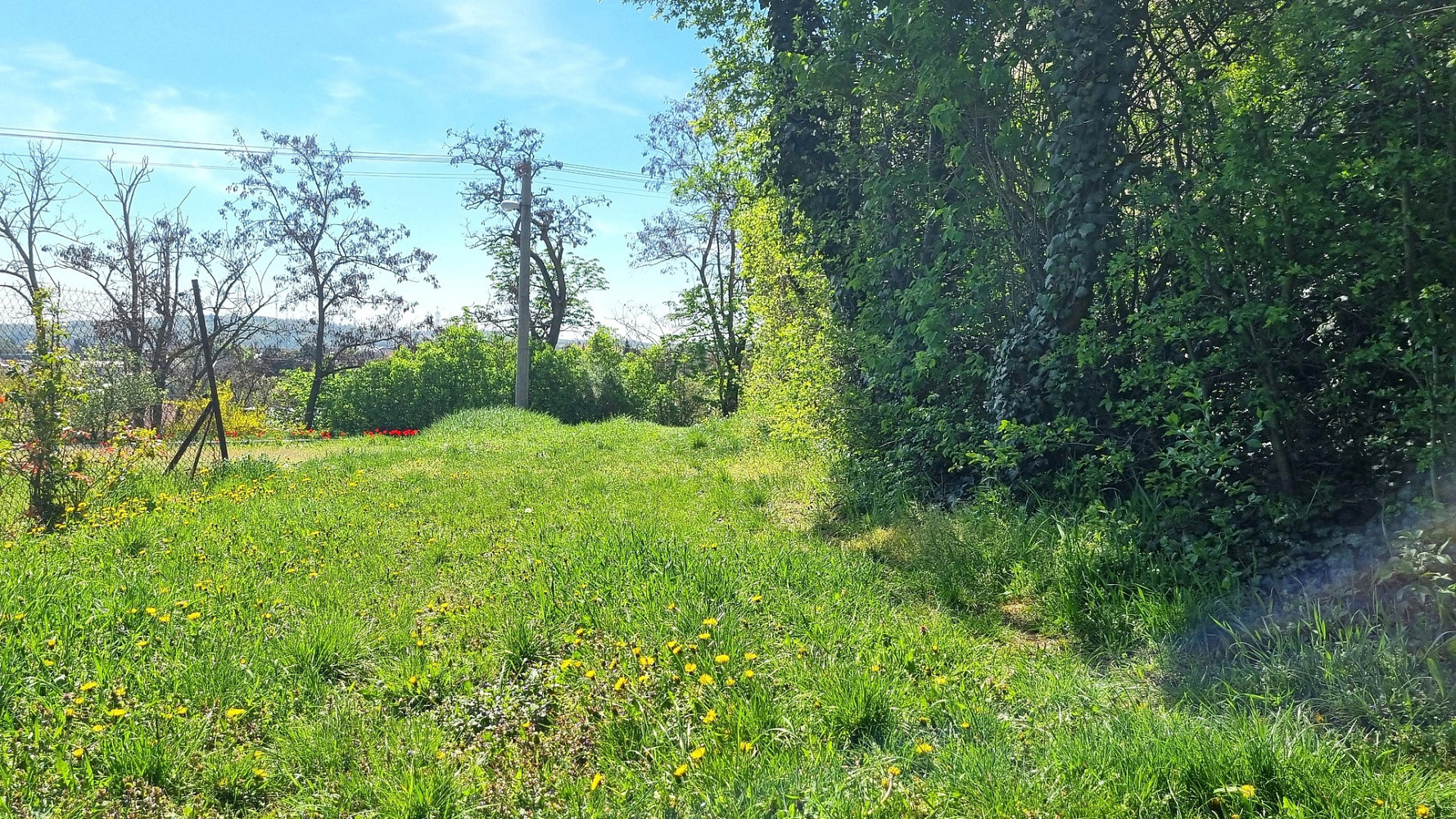 Prodej stavebního pozemku 471 m² – fotografie 3