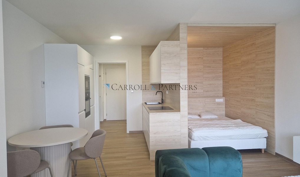 Pronájem bytu 1+kk 40 m², Ostrava – náhled fotky 9