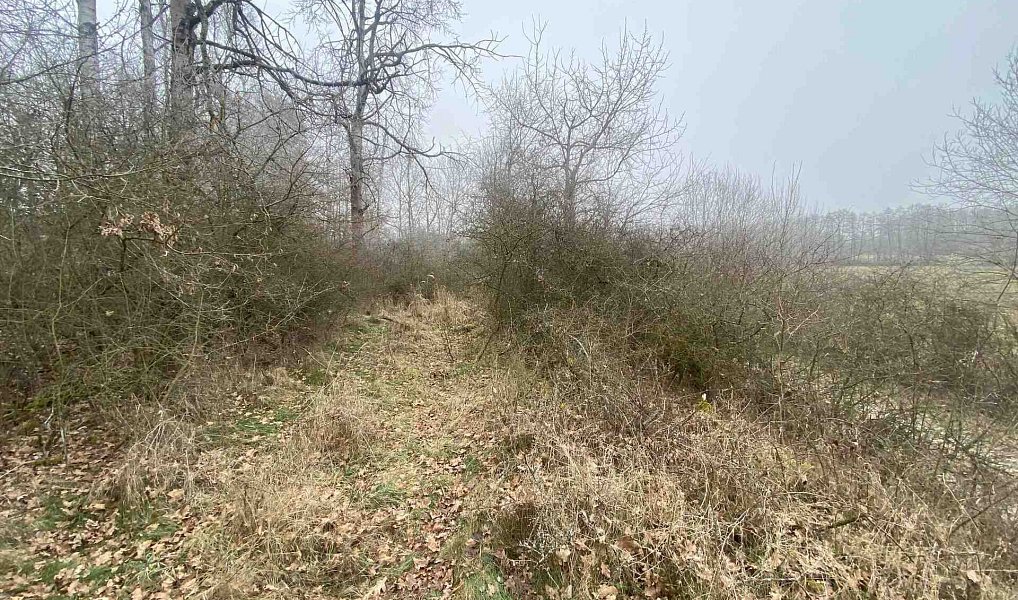 Prodej pole 13 059 m², Slatina – náhled fotky 10