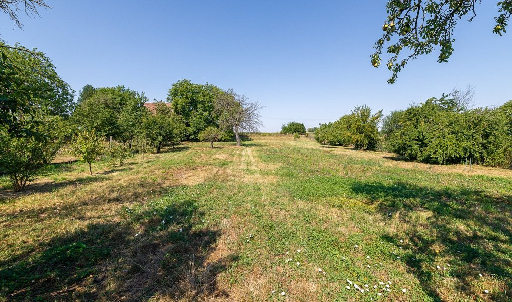 Prodej domu 227 m² s pozemkem 3 154 m², Křenovice – náhled fotky 14