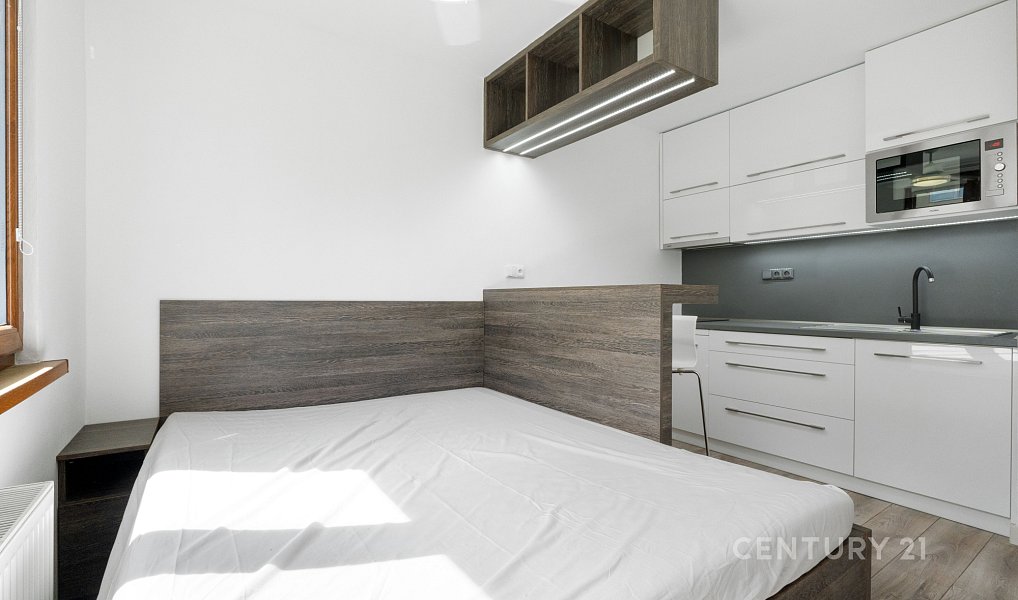 Pronájem bytu 1+kk 19 m², Děčín – náhled fotky 5