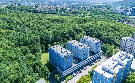 Pronájem bytu 1+kk 600 m²