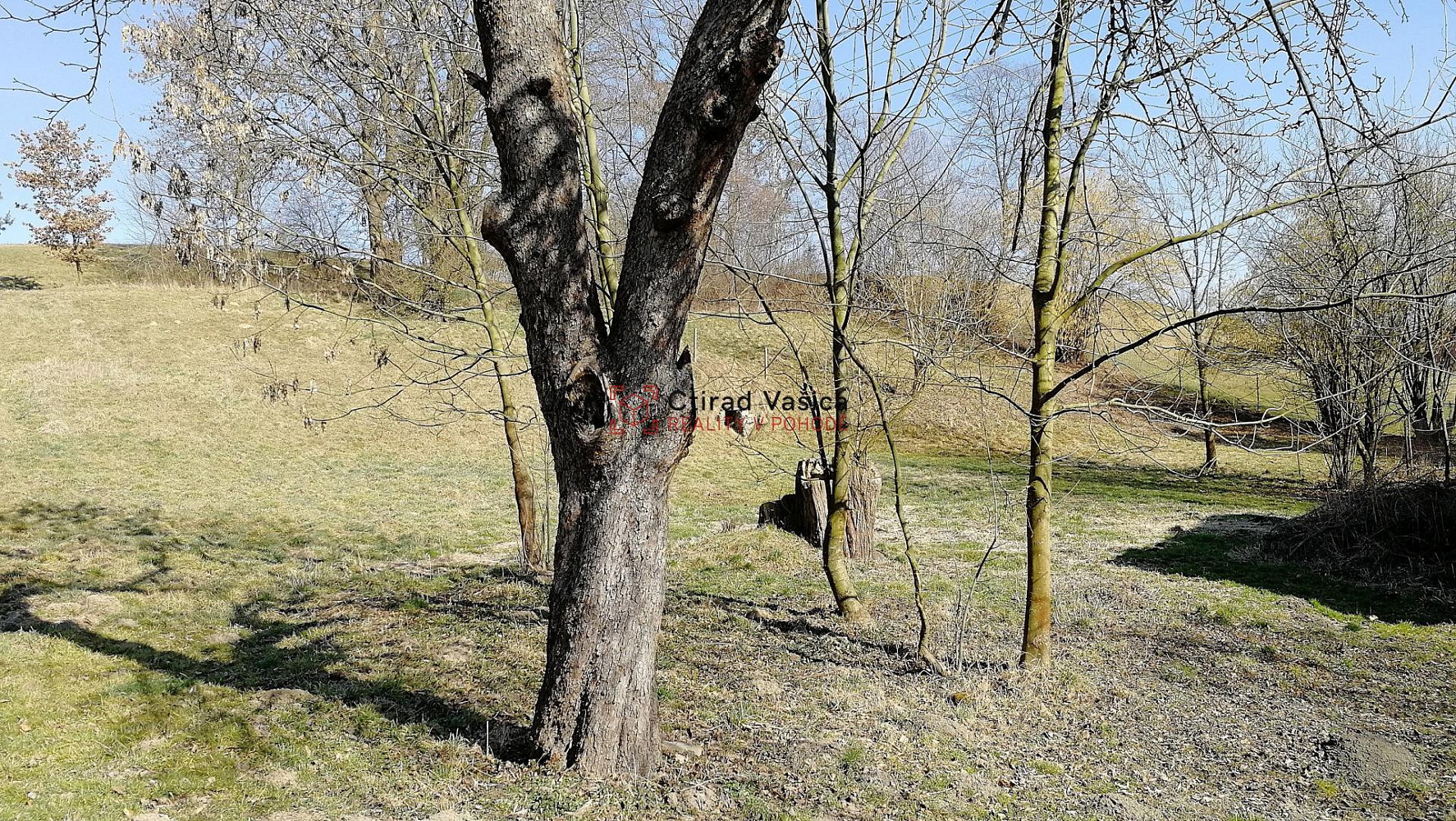 Fotka 14 z 18