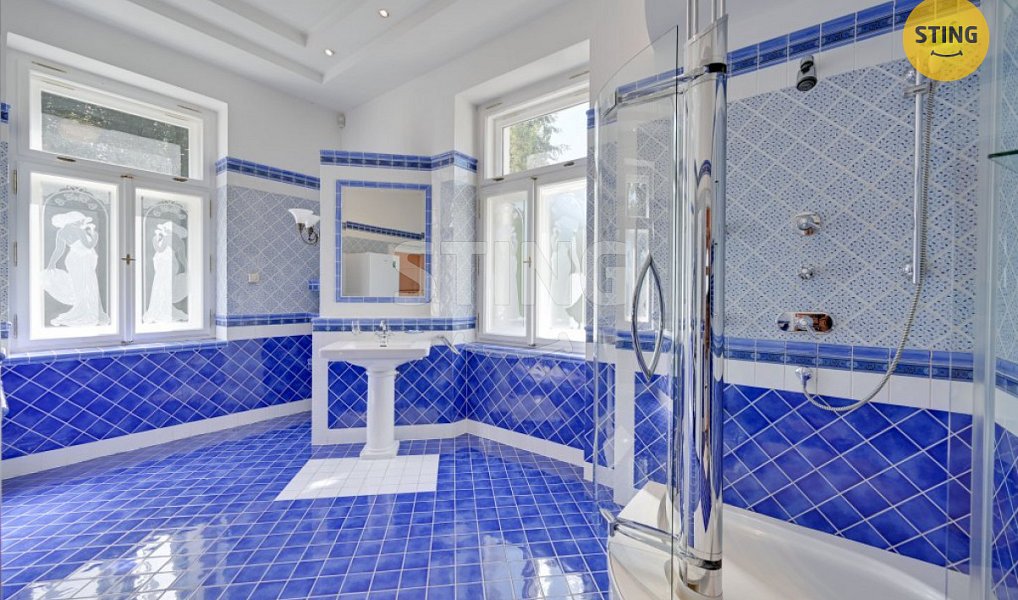 Prodej domu 700 m² s pozemkem 3 228 m², Luže – náhled fotky 22