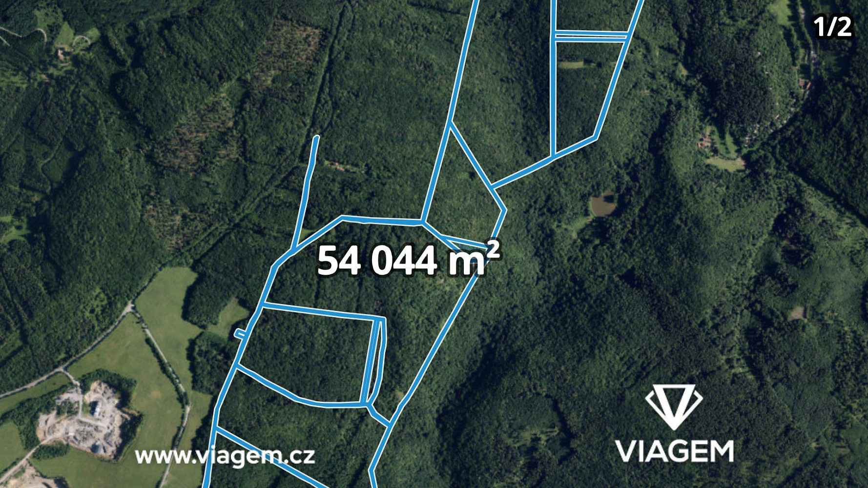 Prodej lesa 6 105 m²