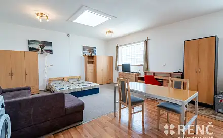 Pronájem bytu 1+kk 42 m²