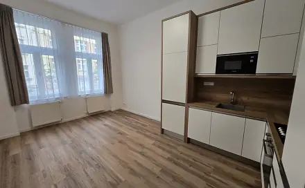 Pronájem bytu 4+kk 85 m², Domažlická, Praha 3 - Žižkov