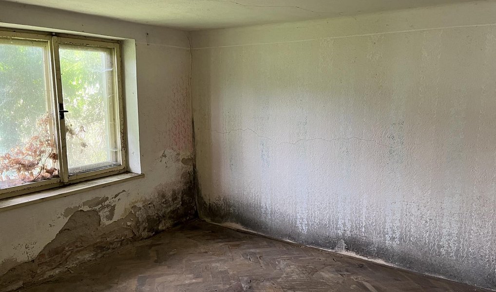 Prodej domu 92 m² s pozemkem 2 095 m², Rychnov na Moravě – náhled fotky 14