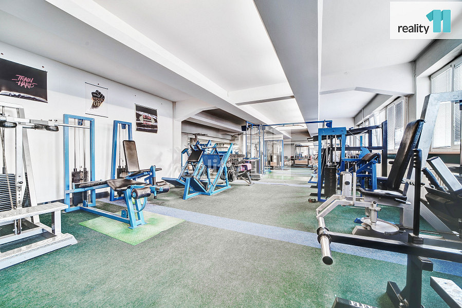Prodej komerčního objektu (jiného typu) 4 196 m² — photo 4