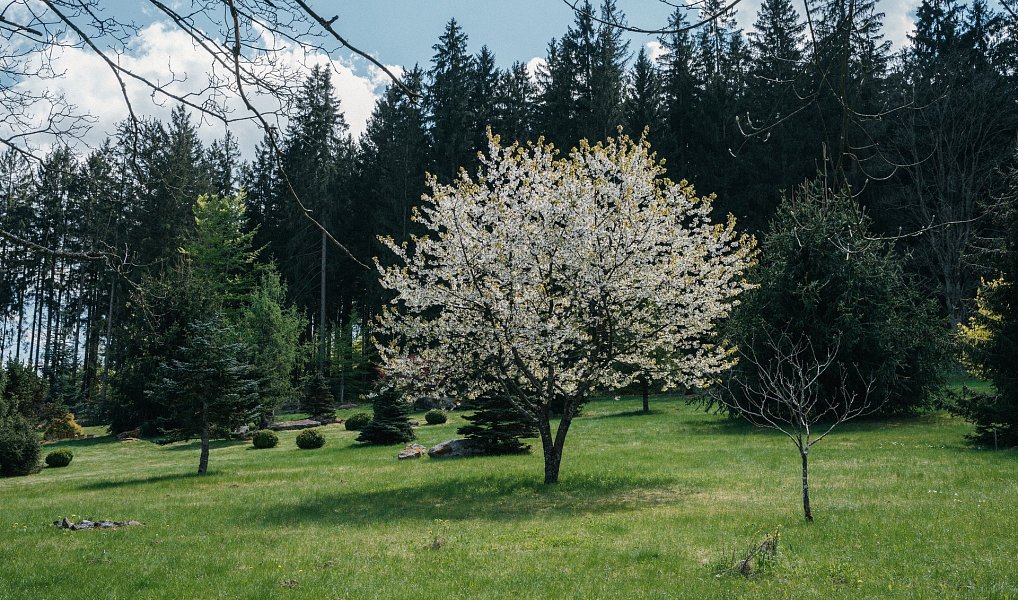 Prodej stavebního pozemku 2 273 m², Přední Výtoň – náhled fotky 8