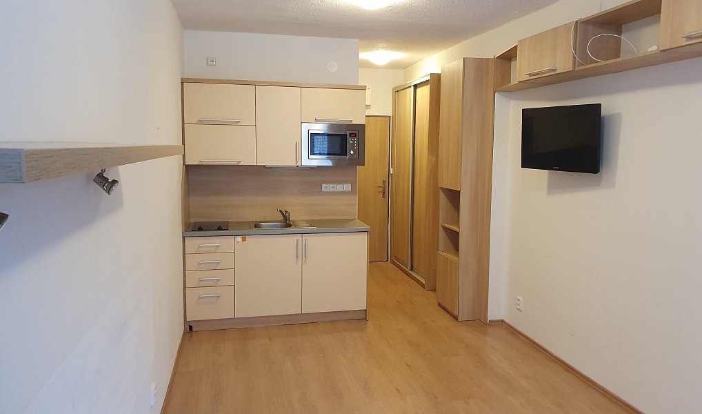 Pronájem bytu 1+kk 20 m², Všemina – náhled fotky 3