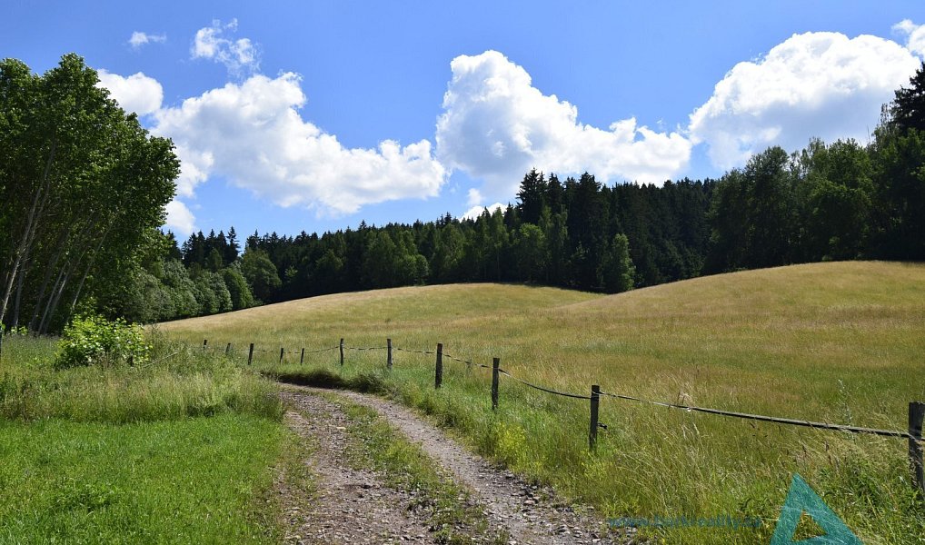 Prodej louky 24 781 m², Čistá u Horek – náhled fotky 5