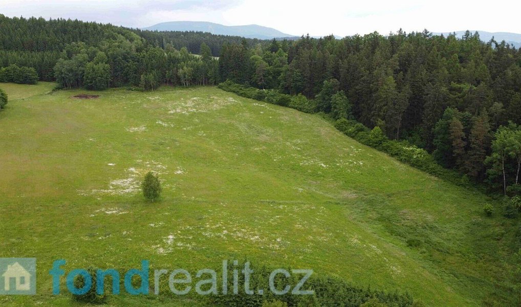 Prodej pole 6 699 m², Chotěvice – náhled fotky 3