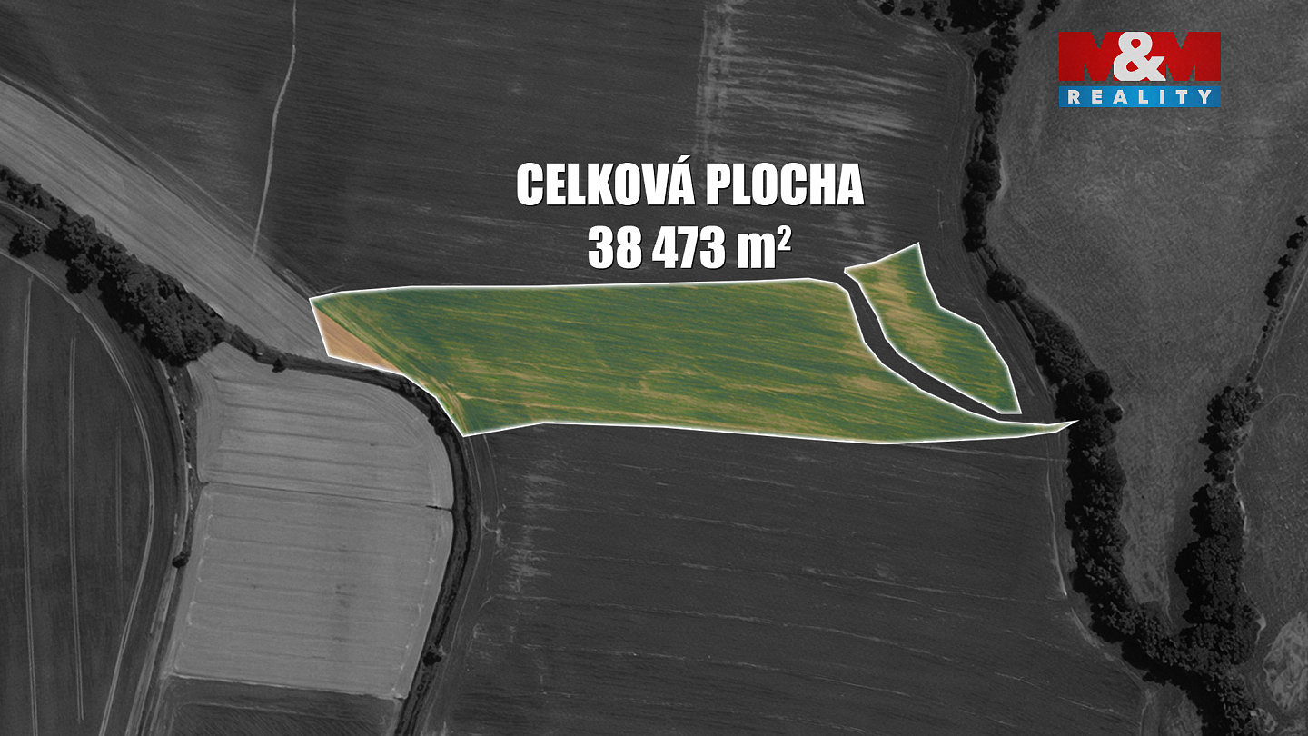 Fotka 15 z 15