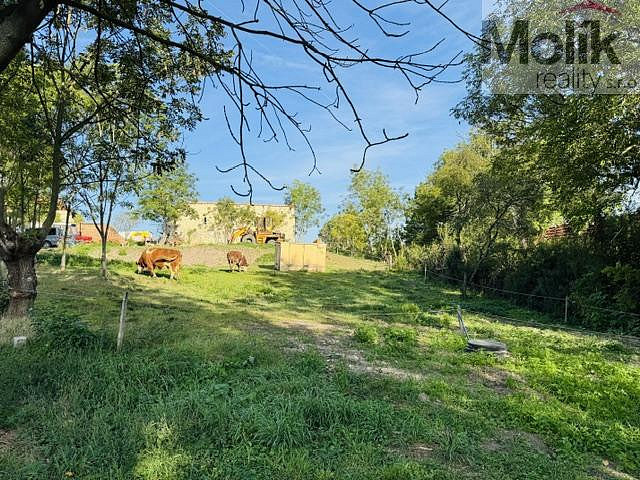 Prodej stavebního pozemku 852 m² – fotografie 3